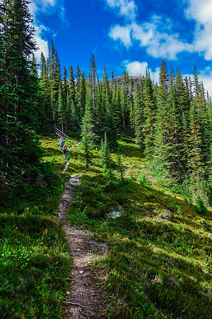 Back on an obvious trail now - heading into the alpine meadow section.