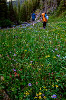 Still a beautiful trail to distract our sore feet and minds. Soon we were too exhausted to enjoy it. ;-)