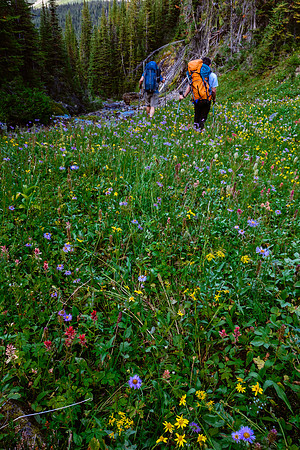 Still a beautiful trail to distract our sore feet and minds. Soon we were too exhausted to enjoy it. ;-)