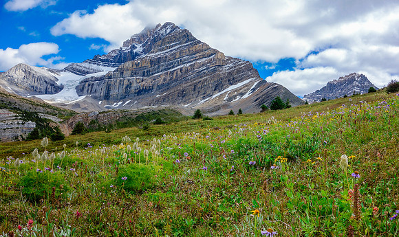 Amazing views confronted us as we hit the alpine meadows beyond the fifth lake.