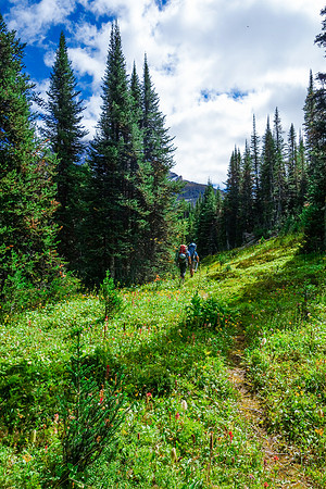 Having a trail between the 4th and 5th lakes was nice.