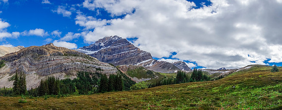The alpine meadows above the 5th Geraldine Lake provide great views of the north ridge and east face of Fryatt.