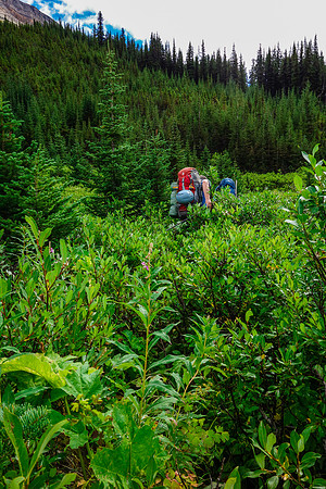 Just don't expect an obvious trail all of the time. ;)