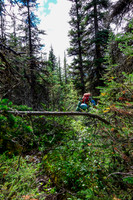 Heading up wilder terrain to the fourth lake.