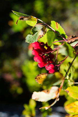 Fall is in the air.