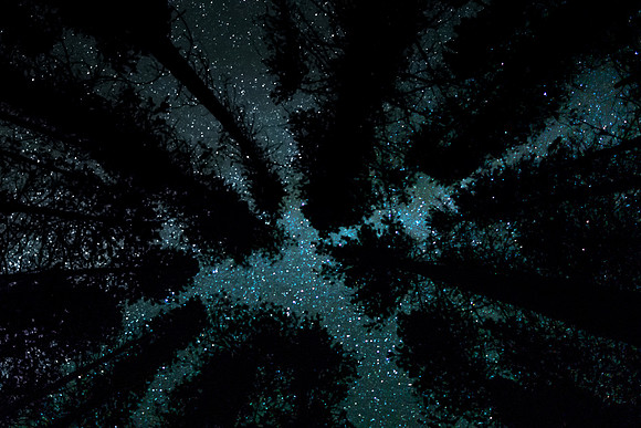 Brilliant star-lit night above our bivy at the Athabasca Crossing Campground.