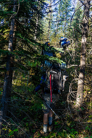 The bush wasn't too bad at first, while ascending to the valley between Fortress and Catacombs