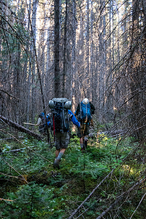 The bush wasn't too bad at first, while ascending to the valley between Fortress and Catacombs.
