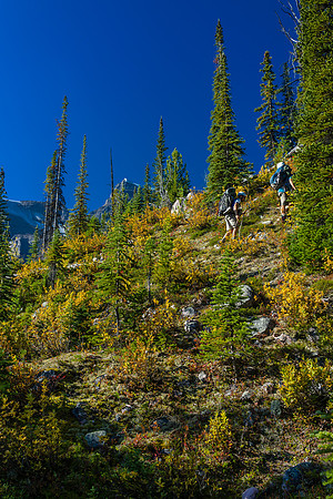 Fall colors are coming out - my favorite time of the year.
