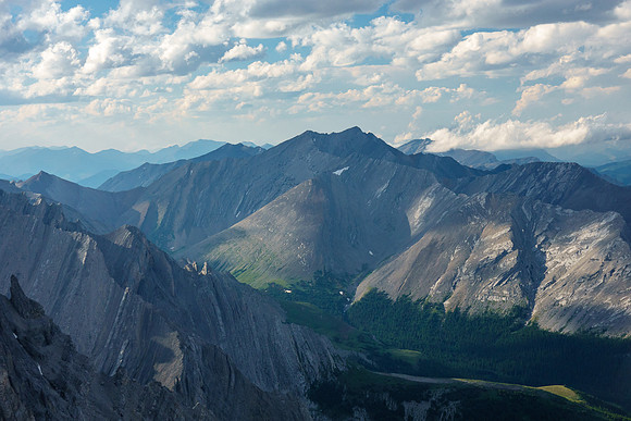 Mount Oliver.