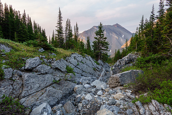 Hiking down along Spectral Creek.
