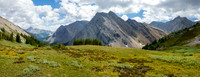 Views back down alpine meadows to Brocks Peak.