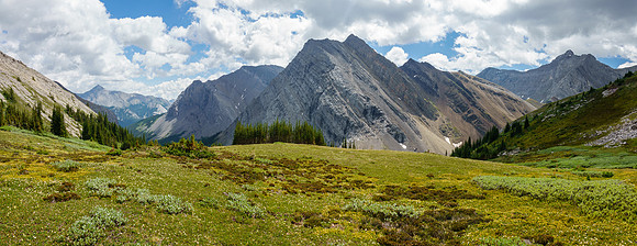 Views back down alpine meadows to Brocks Peak.