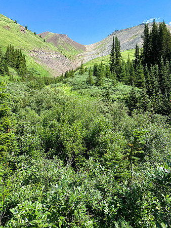 Ascending the south gully on Brocks.