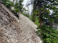 Biking the Lake Minnewanka single track.