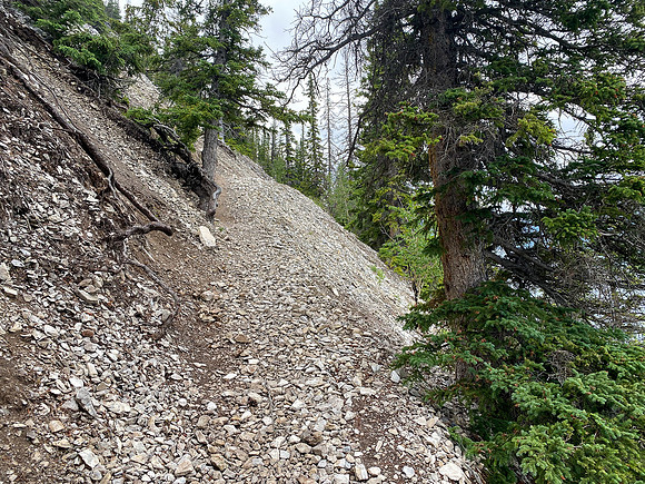 Biking the Lake Minnewanka single track.