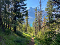 Hiking back to Lake Minnewanka on the Aylmer Pass trail.
