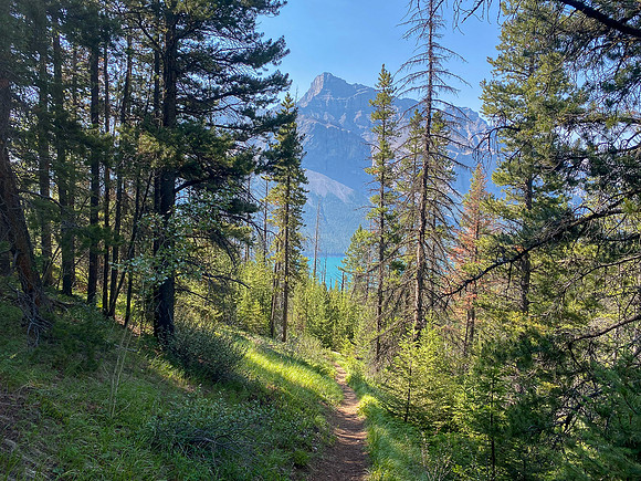 Hiking back to Lake Minnewanka on the Aylmer Pass trail.