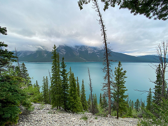 Biking the Lake Minnewanka single track.