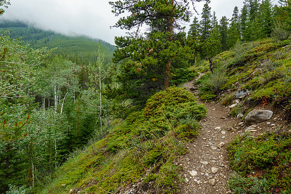 Hiking up the steep, unrelenting Aylmer Pass trail in morning mist.