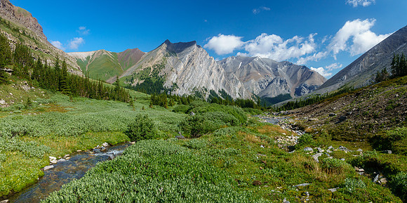 Off trail towards the south branch of Spectral Creek.