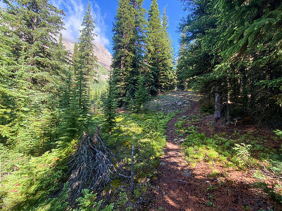 Hiking up the steep, unrelenting Aylmer Pass trail.
