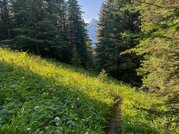 Hiking back to Lake Minnewanka on the Aylmer Pass trail.