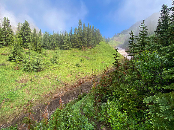 Hiking up the steep, unrelenting Aylmer Pass trail in morning mist.