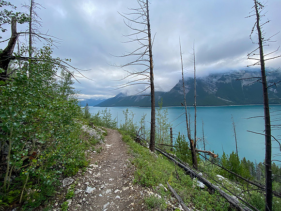 Biking the Lake Minnewanka single track.