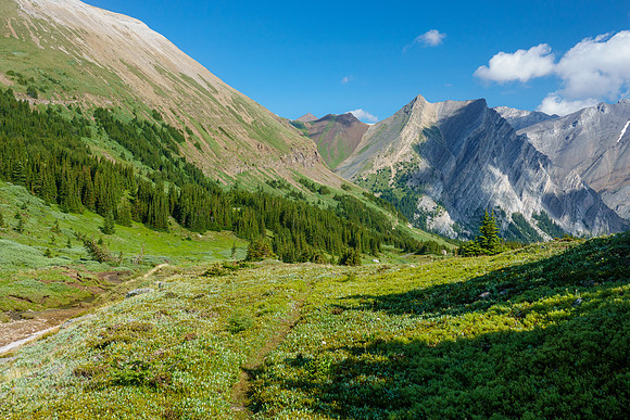 Hiking over Aylmer Pass.