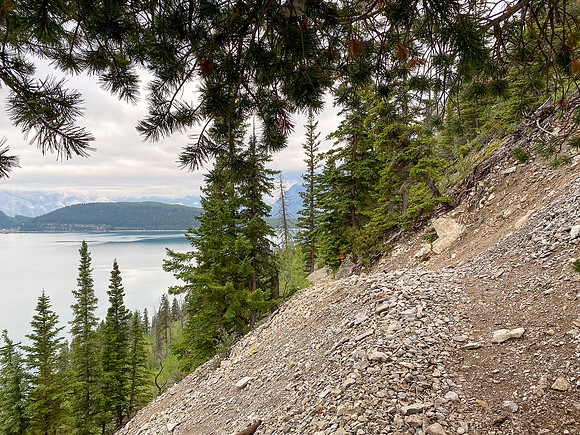 Biking the Lake Minnewanka single track.