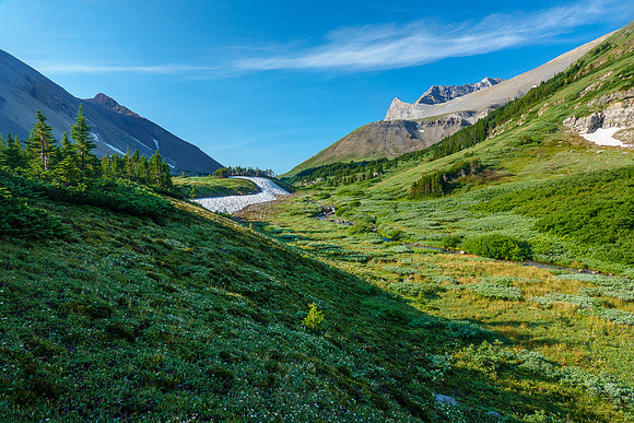 Ascending to Aylmer Pass.