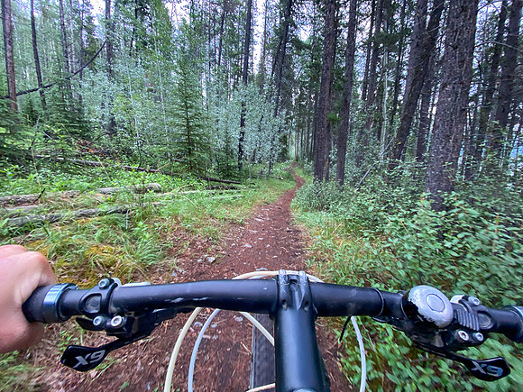 Biking the Lake Minnewanka single track.