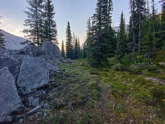 Hiking down along Spectral Creek.