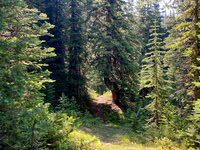 Hiking back to Lake Minnewanka on the Aylmer Pass trail.