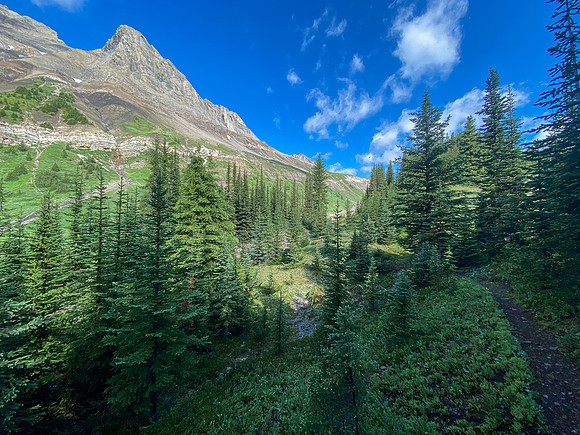 Nearing Aylmer Pass now.