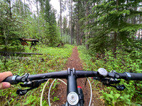 Biking the Lake Minnewanka single track.