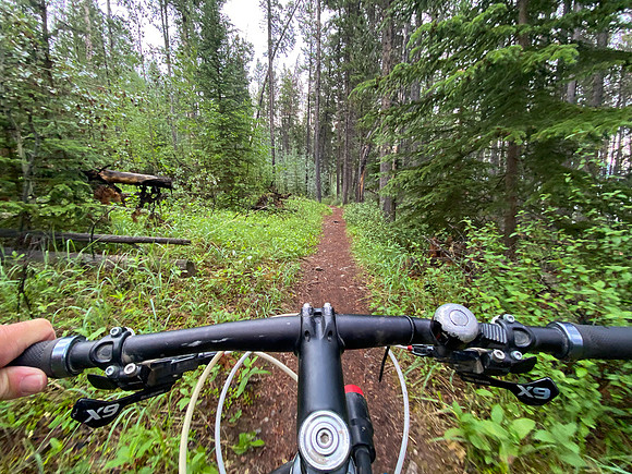 Biking the Lake Minnewanka single track.