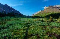 Ascending to Aylmer Pass.