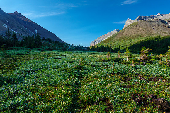 Ascending to Aylmer Pass.