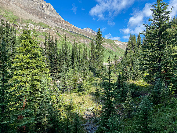 Nearing Aylmer Pass now.