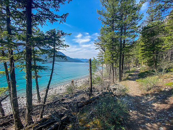 Biking back along the Lake Minnewanka singletrack.