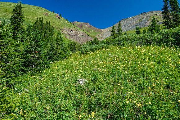 Ascending the south gully on Brocks.