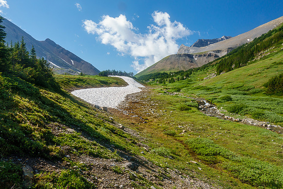 Hiking over Aylmer Pass.