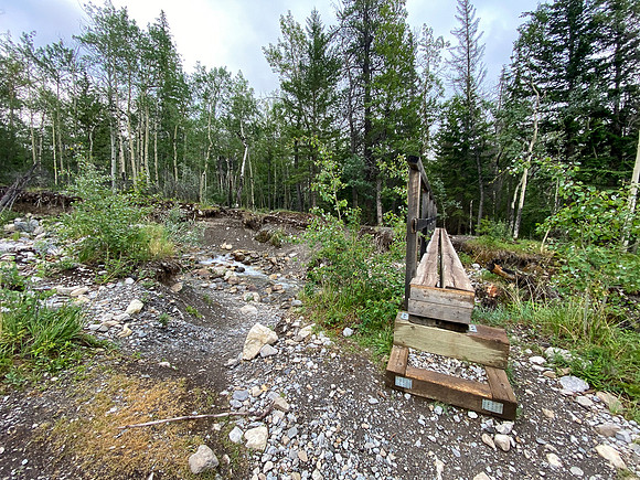 Biking the Lake Minnewanka single track.