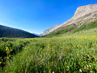 Ascending to Aylmer Pass.