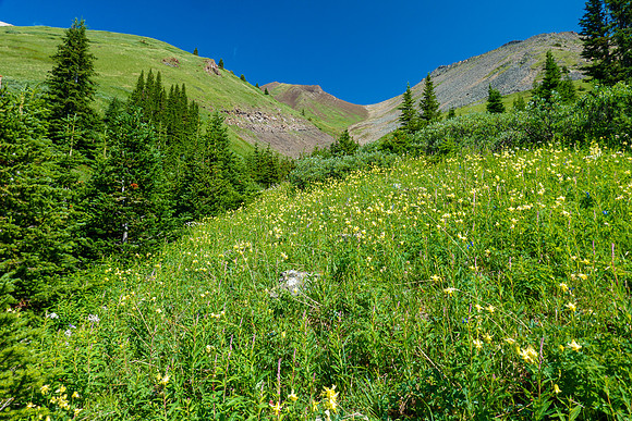 Ascending the south gully on Brocks.