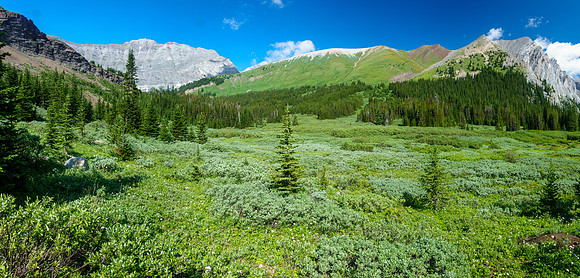 South Spectral creek runs down this valley from a small tarn. Brocks at right.