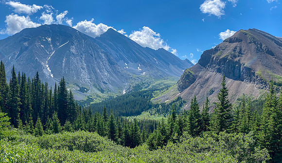 Views back to Aylmer and the pass.