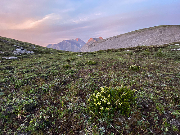 Hiking out of the Spectral Creek alpine meadows.